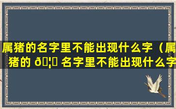 属猪的名字里不能出现什么字（属猪的 🦟 名字里不能出现什么字母）